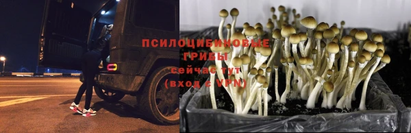 кокаин перу Бронницы