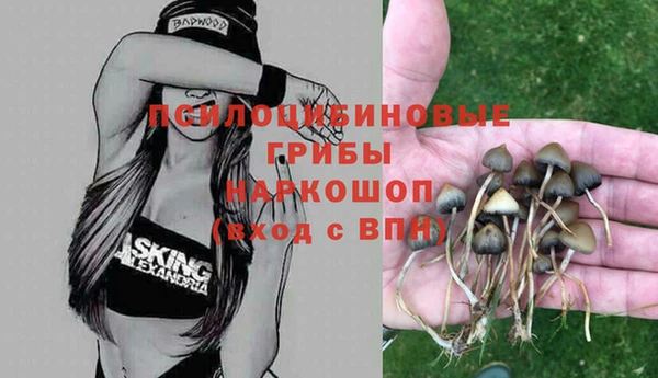 гашиш Бородино