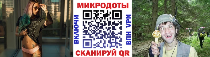 Псилоцибиновые грибы Psilocybe  Дедовск 